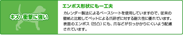 ニャンガードの特徴 ニャンガードの特徴